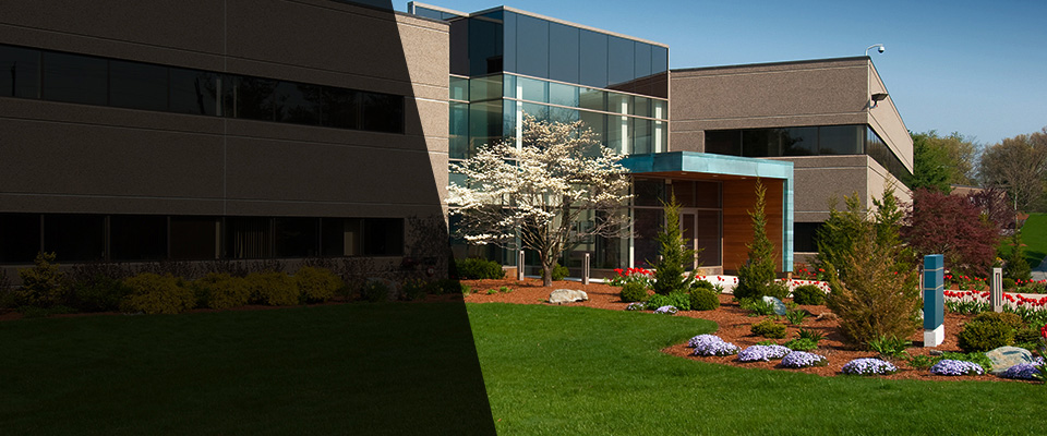 Fairview Village Landscapers