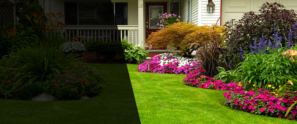 Fairview Village Landscapers