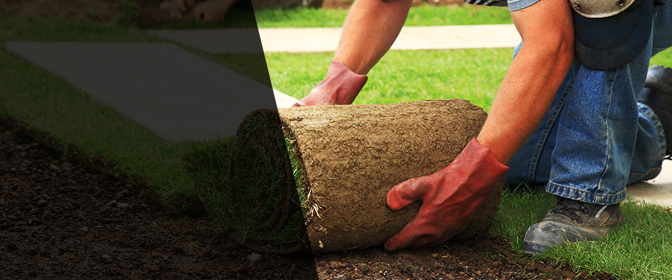 Fairview Village Landscapers